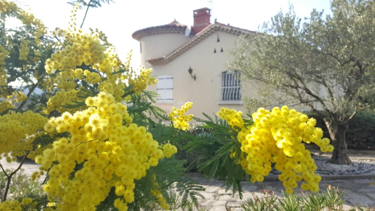 Le Relais Fleuri Alès Exterior foto