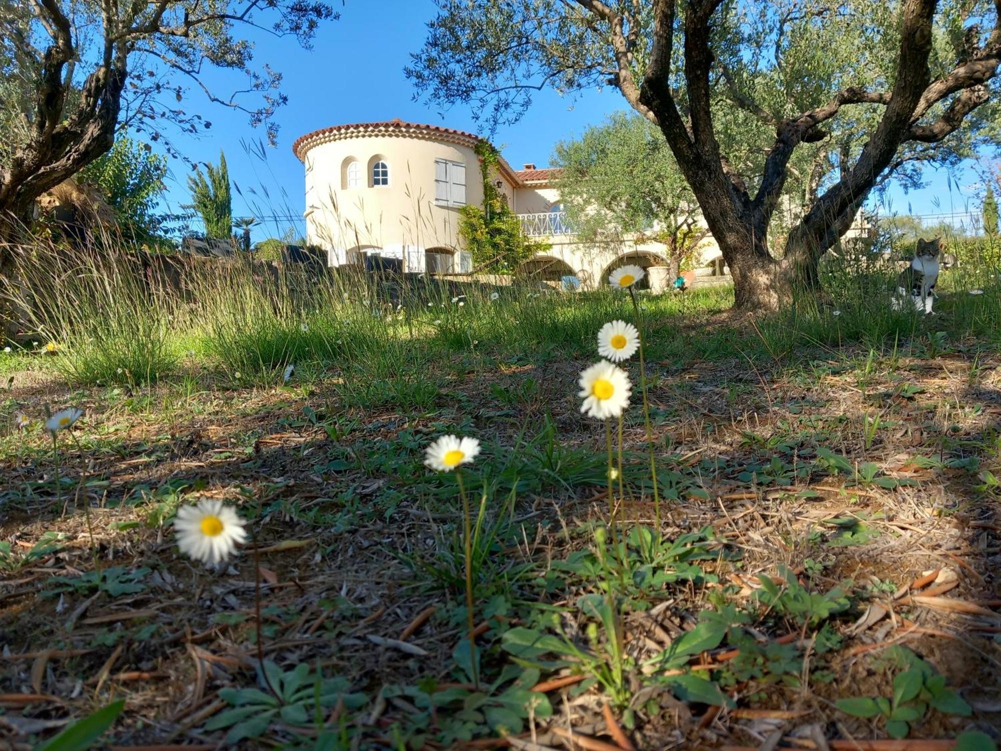 Le Relais Fleuri Alès Exterior foto